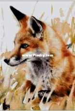 Fox by Chimera XSD