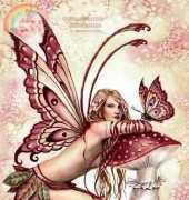 HAED HAESF 3206 Small Things - Color by Selina Fenech XSD