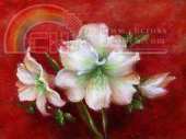 HAED HAEPTPNF 020 PTP Amaryllis by Nancy Faulkner