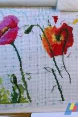 Charivna Mit- Field of Poppies