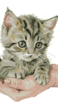 Coricamo 10923 Sweet kitty XSD
