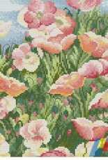 DMC BK210 Poppy field PCS