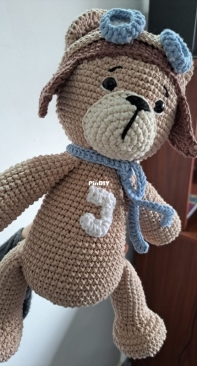 Aviator Bear