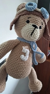 Aviator Bear