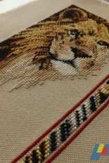 Janlynn_ Wildlife series-Lion