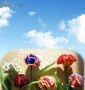 my work----Carnation flower