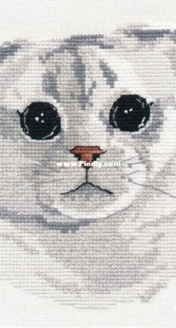 Oven OBEH Aries (Овен) 1323 - Scottish Fold XSD