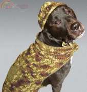 Red Heart WR1786 - Darla Sims - Hunter Dog - Free
