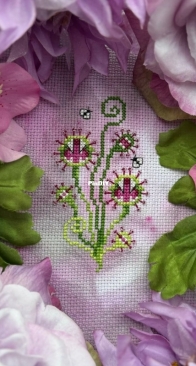 Noctiflora Designs - Stundew - Free