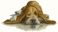 Luca-S B2341 - Basset PCS