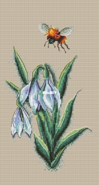 Snowdrop KS/25-02 by Anna Kuznetsova