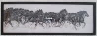 Free Running horses black & white