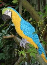 CAROcreated - Carola Herbst - Blue and yellow Macaw - German
