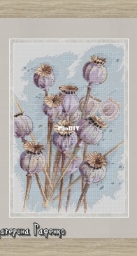 Poppy Buds by Ekaterina Gafenko