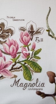 Магнолия от Veronique Enginger