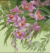 Riolis 1401 - Tropical Orchids