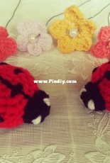 Ladybugs