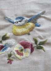 trish burr blueti pansie