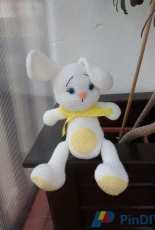 Bunny