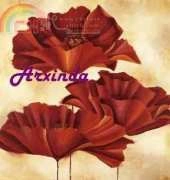 Arxinda - Three poppies