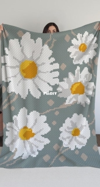 Handmade crochet Jo _ stunning daisy floral blanket _ English