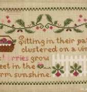 Raspberry Patch