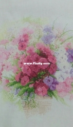 Phlox from Riolis