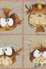 Asmadei Pictures (Ashrei Ro) Fire Ugler -  Angry Owls - Old Owl - Nervous Owl - Young Owl
