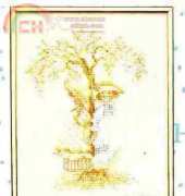 Lanarte 33954