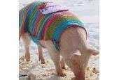 Amidorable Crochet - Jackie Laing - Pig Coat - Free