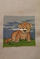 Lion Cub