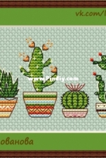 Cactus by Yana Golovanova