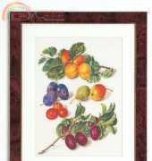 Thea Gouverneur 3062 - Peaches ans Plum