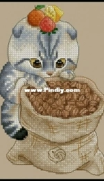 Cat with a Bag of Coffee Beans by Maria Brovko XSD
