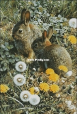 Chimera - Pair of hares XSD