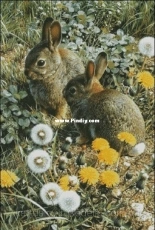 Chimera - Pair of hares XSD