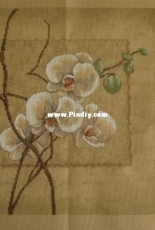 Oriental orchids