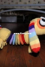 Sausage rainbow dog
