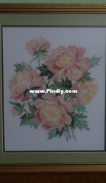 My peonies