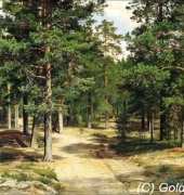Golden kite GK S1913 (Solid Color) - Sestroretsk Pine Forest