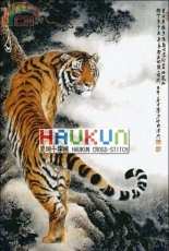 Haukun A-001