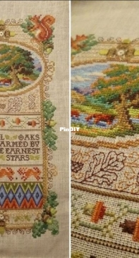 The Acorn Band Sampler by Sandy Orton