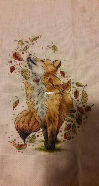 Fox
