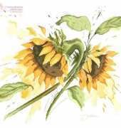 Lanarte 34894 Sunflowers (pat)