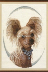 Zolotoe Runo NL-011 Our Pets - Chinese Crested Dog