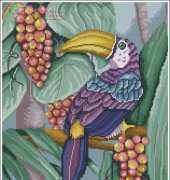 Artime Cuadros nº 24 Toucan