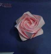 Kawasaki Rose - Winson Chan