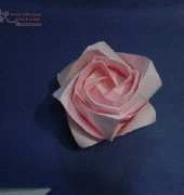 Kawasaki Rose - Winson Chan