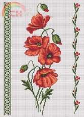 Panna C-189 - Poppies