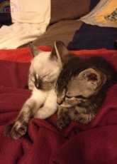 Minu & Billo forever friends :D